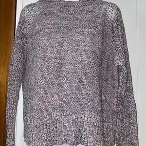 American Eagle Hooded Sweater